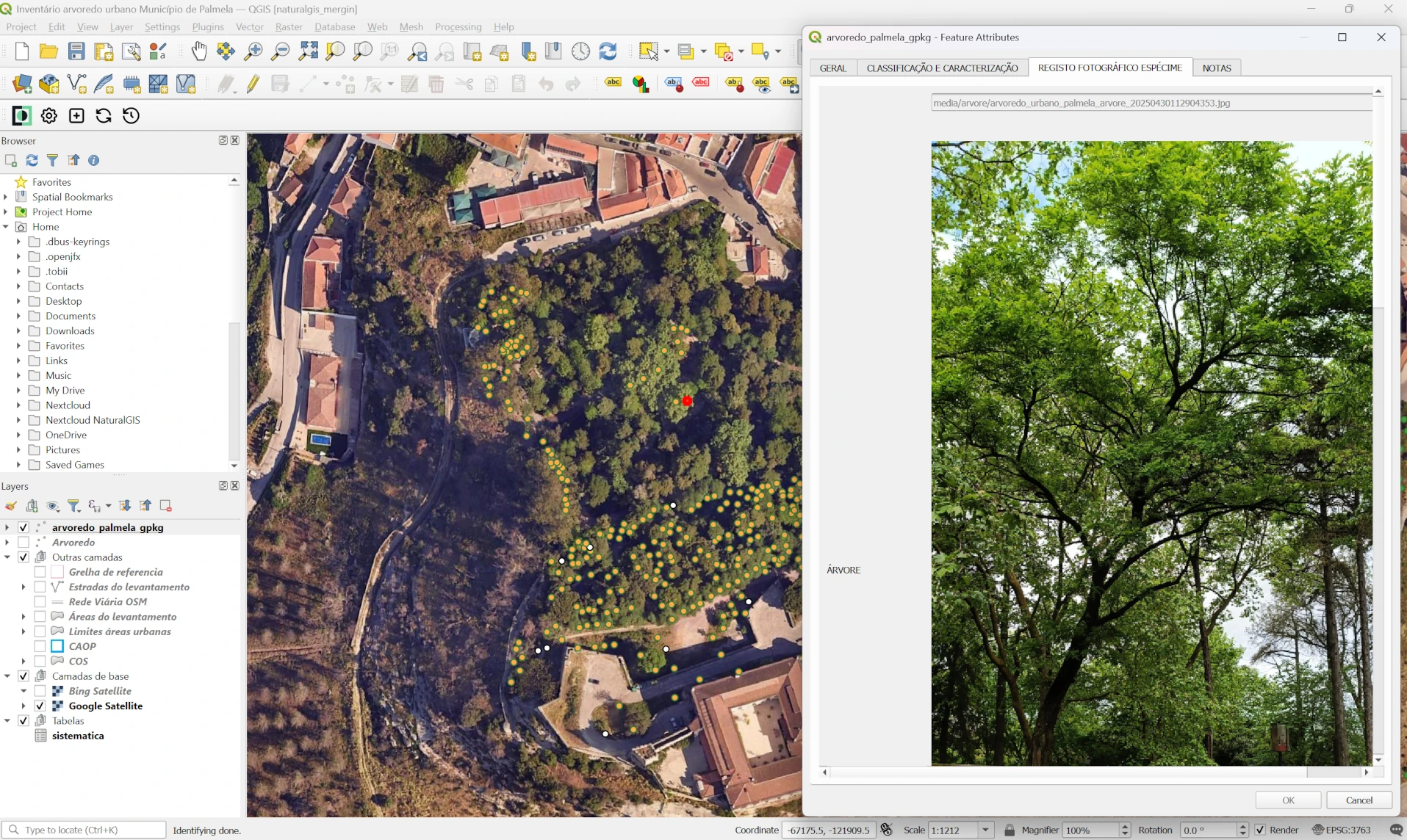 The QGIS project used for the inventory